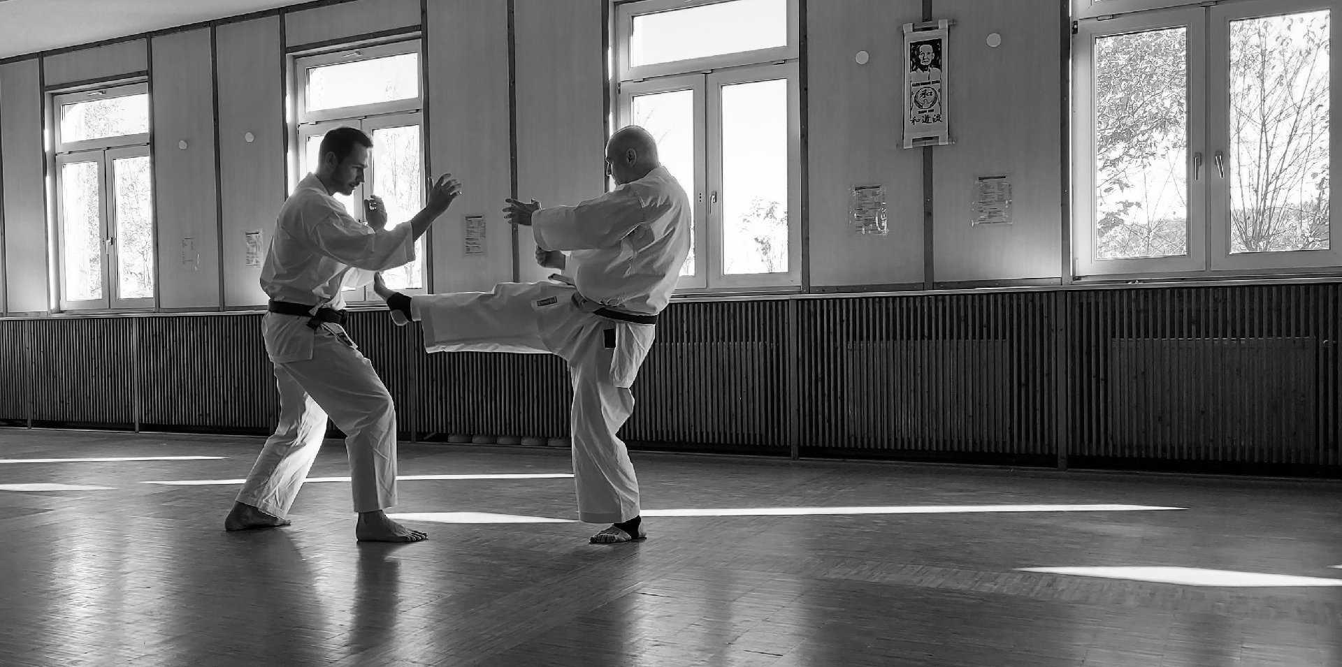 Wado-Ryu Lehrer Stefan und Thomas beim Kumite